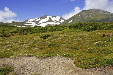 Daisetsuzan Milli Parkı, Hokkaido, Japonya