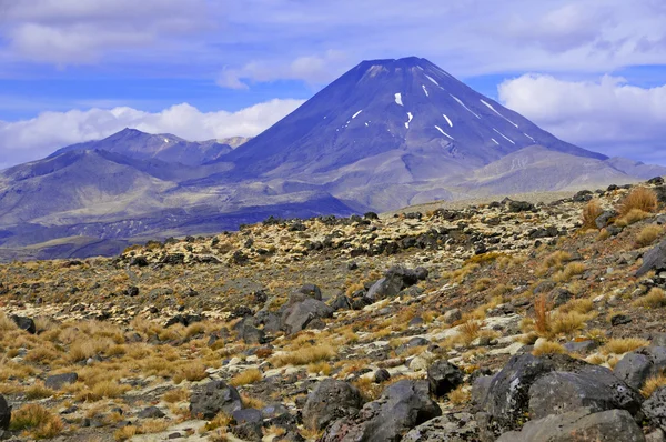 Hora ngauruhoe, národním parku tongariro, Nový Zéland — Stock fotografie