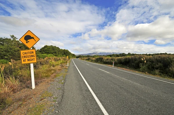뉴질랜드의 키위 로드 표지판 — 스톡 사진