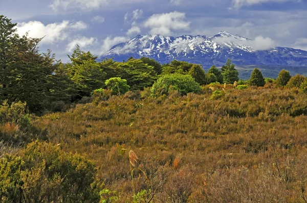 Гора Руапеху, Северный остров, Новая Зеландия — стоковое фото