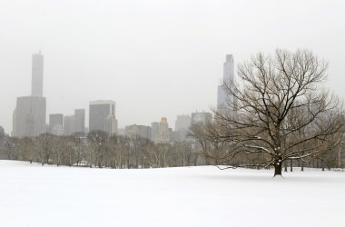 Sonra kar fırtınası, New York'un Manhattan siluetinin