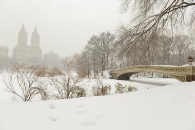 Kar, Manhattan, New York City Central Park'ta