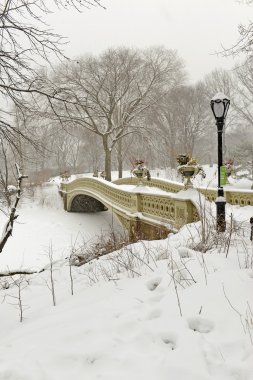 Kar, Manhattan, New York City Central Park'ta