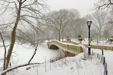 Kar, Manhattan, New York City Central Park'ta