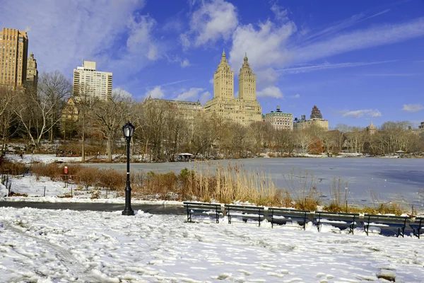 Central park in de sneeuw, manhattan new york — Stockfoto