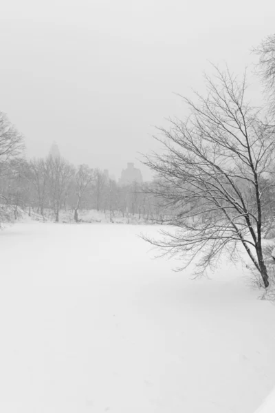 Центральный парк на снегу, Манхэттен, Нью-Йорк — стоковое фото