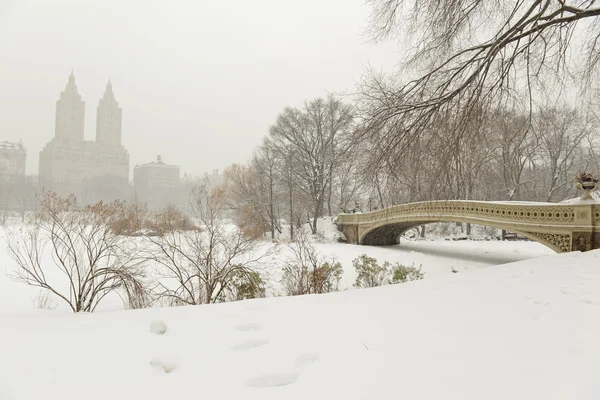 Kar, Manhattan, New York City Central Park'ta — Stok fotoğraf