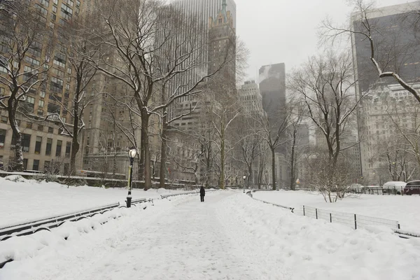 Центральный парк на снегу, Манхэттен, Нью-Йорк — стоковое фото