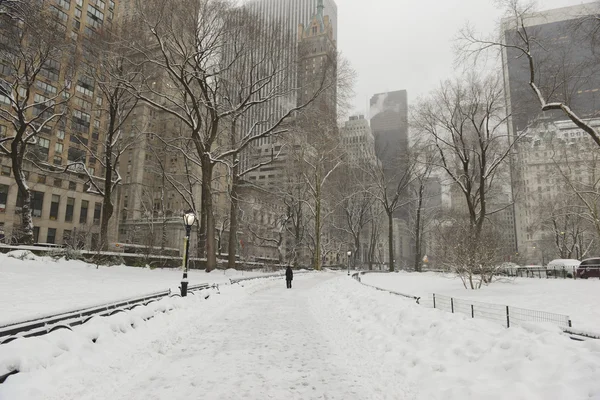 Central Park na sněhu, Manhattan, New York City — Stock fotografie