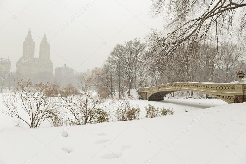 Central Park in the snow, Manhattan, New York City