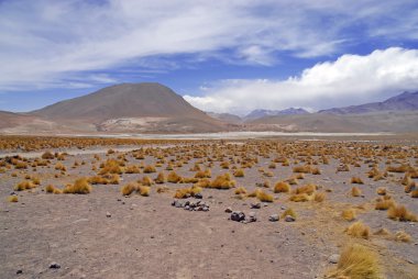 Atacama Çölü ve Altiplano, Şili