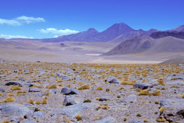 Atacama Çölü ve Altiplano, Şili