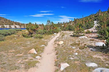 Alpine Lansdscape in the Sierra Nevada Mountains, California clipart