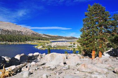 Alpine Lansdscape in the Sierra Nevada Mountains, California clipart