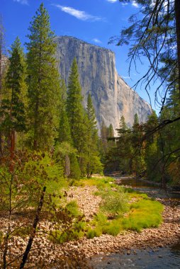 Half Dome, Yosemite National Park, California, USA clipart