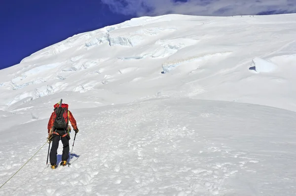 Alpinisti in alto sul Monte Rainier, Stato di Washington, Stati Uniti — Foto Stock