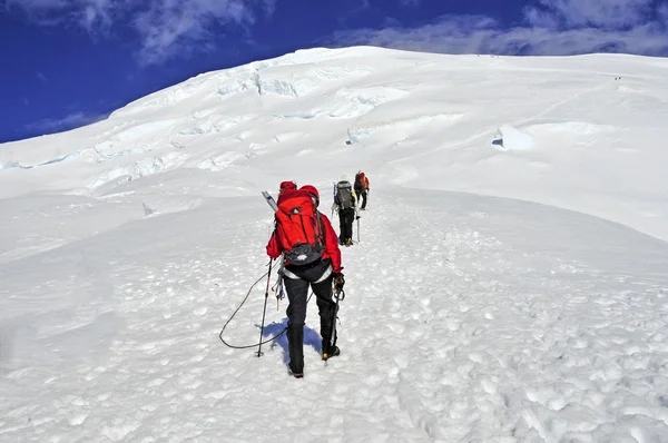 Alpinisti in alto sul Monte Rainier, Stato di Washington, Stati Uniti — Foto Stock