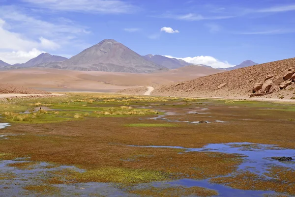 Atacama Desert and Altiplano, Chile — Stock Photo, Image