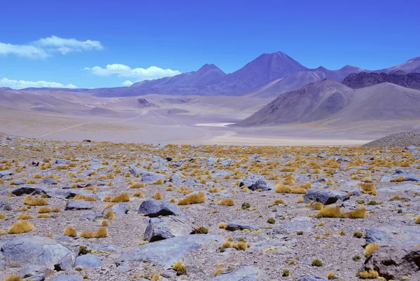 Deserto do Atacama e Altiplano, Chile — Fotografia de Stock