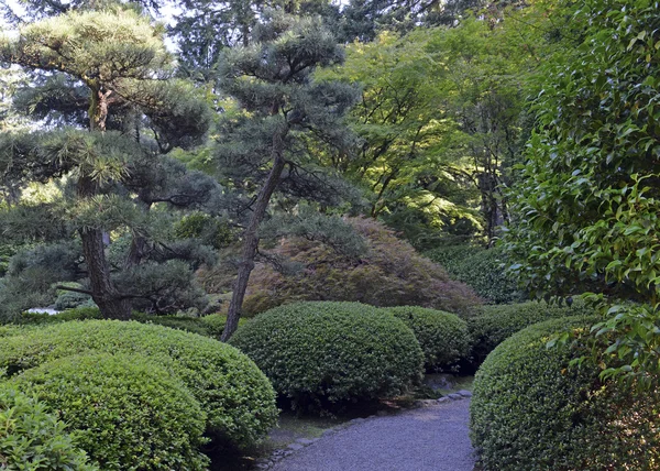 Paesaggio giardino giapponese — Foto Stock