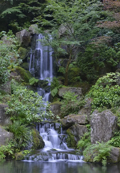 Японський сад ландшафт — стокове фото