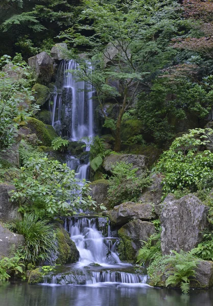 Japonské zahradní krajina — Stock fotografie