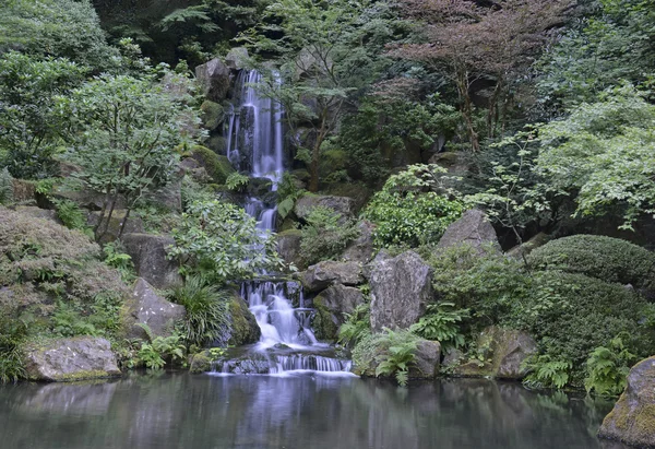 Japanese garden landscape — Stock Photo, Image