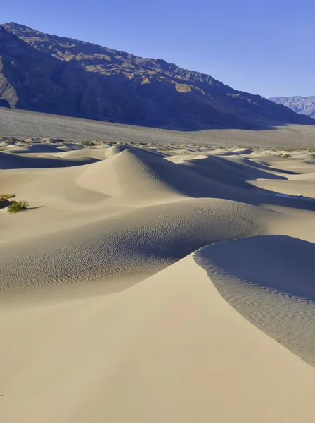 Ondulações e dunas de areia, Parque Nacional do Vale da Morte, Califórnia — Fotografia de Stock