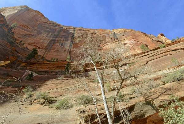 Paisaje montañoso de roca roja en el Parque Nacional Zion, Utah — Foto de Stock