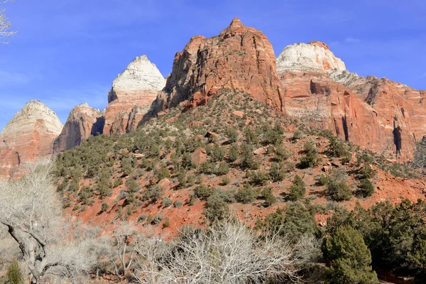 Red rock mountain landscape in Zion National Park, Utah — Stock Photo, Image