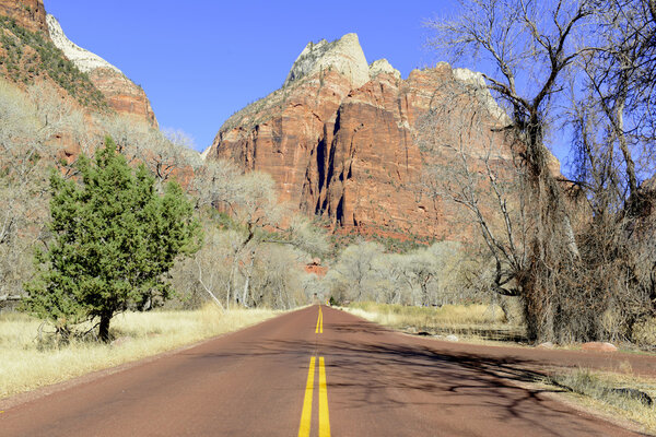 Red rock mountain landscape in Zion National Park, Utah