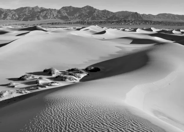 Pouštní krajina s písečnými dunami a horami — Stock fotografie