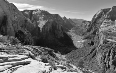 Black and white landscape of Zion National Park clipart