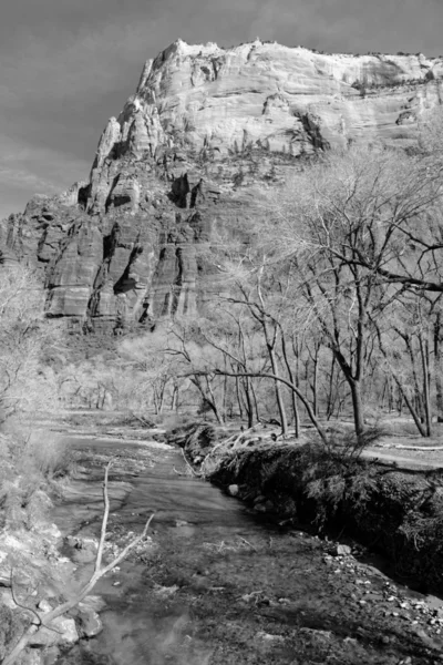 Paisaje blanco y negro del Parque Nacional de Zion —  Fotos de Stock