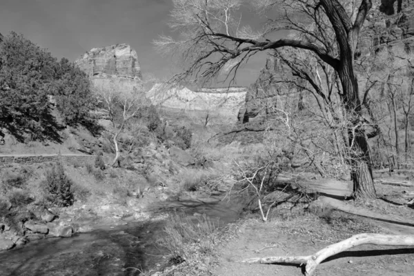 Zwart-wit landschap van Zion National Park — Stockfoto