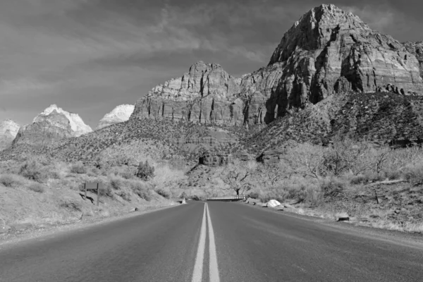 Paisaje blanco y negro del Parque Nacional de Zion — Foto de Stock