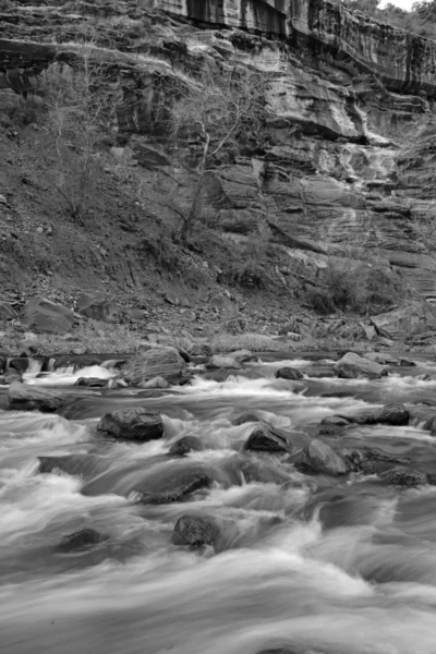 Černá a bílá krajina Národního parku Zion — Stock fotografie