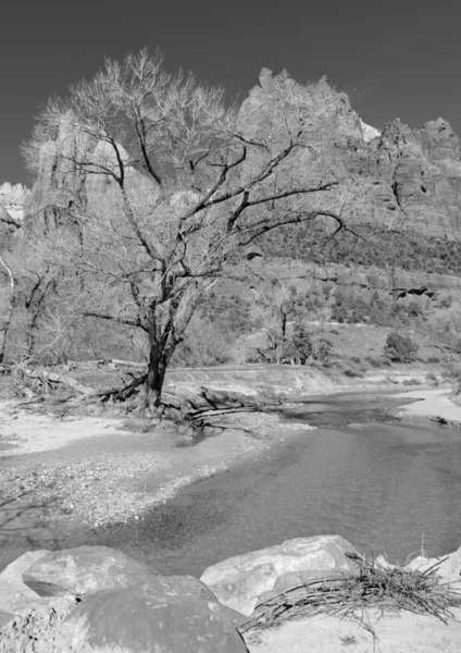 Fekete-fehér táj a Zion Nemzeti Park — Stock Fotó