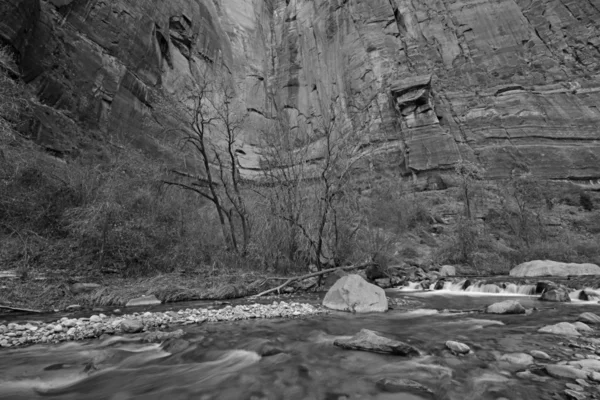 Schwarz-weiße Landschaft des Zion-Nationalparks — Stockfoto