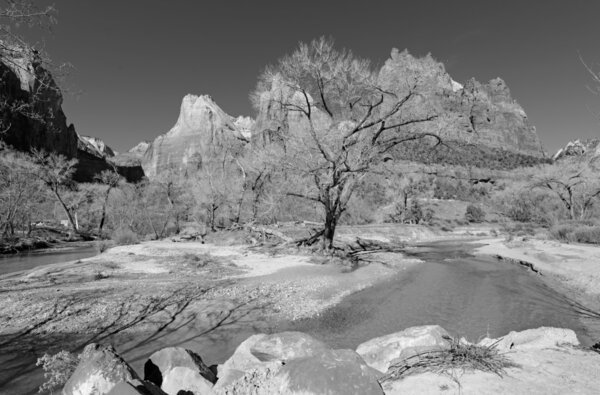 Black and white landscape of Zion National Park