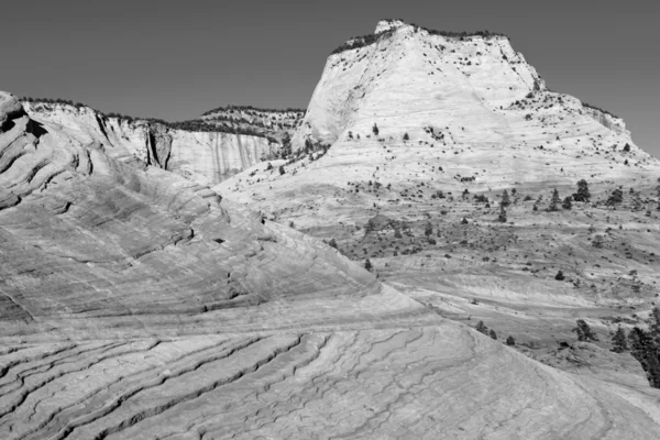 Schwarz-weiße Landschaft des Zion-Nationalparks — Stockfoto