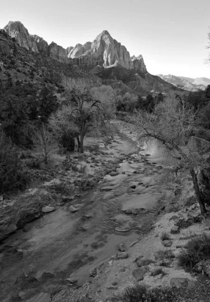 Paisaje blanco y negro del Parque Nacional de Zion — Foto de Stock