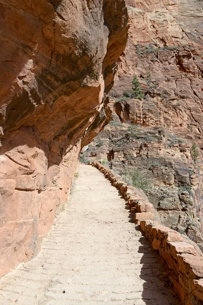 Trail up Angels Landing, Zion National Park, USA — Stock Photo, Image