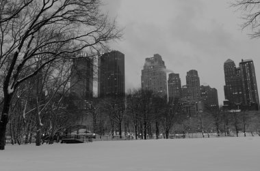 Sonra kar fırtınası, New York'un Manhattan siluetinin