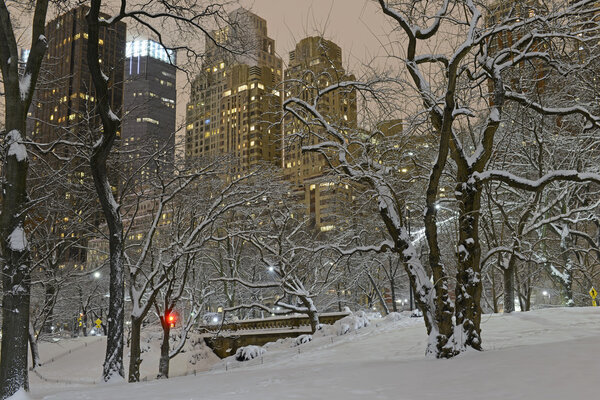 Manhattan skyline after snowstorm, New York City