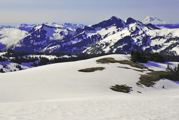 Paesaggio alpino nelle cascate settentrionali e sul Monte Rainier, Washington Stati Uniti — Foto Stock