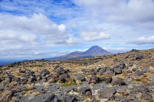 Terreno volcánico Parque Nacional Tongariro, Nueva Zelanda —  Fotos de Stock