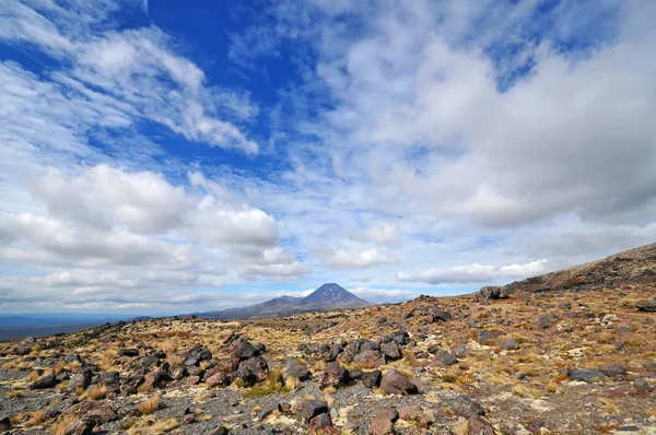 Sopečný terén Tongariro National Park, Nový Zéland — Stock fotografie