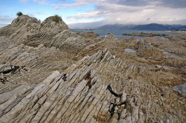 頑丈な海岸風景でカイコウラ、ニュージーランド — ストック写真