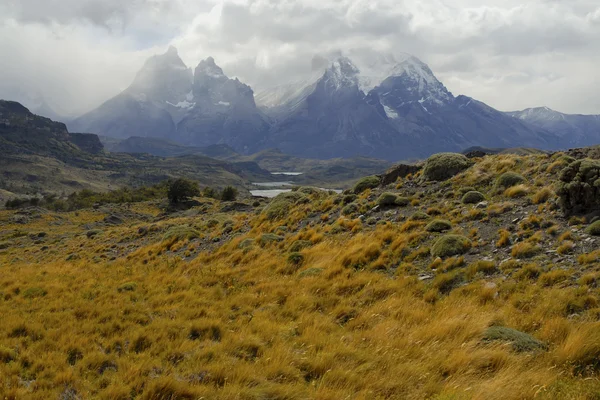 Torres del Paine, Şili, Patagonya'engebeli dağ manzarası